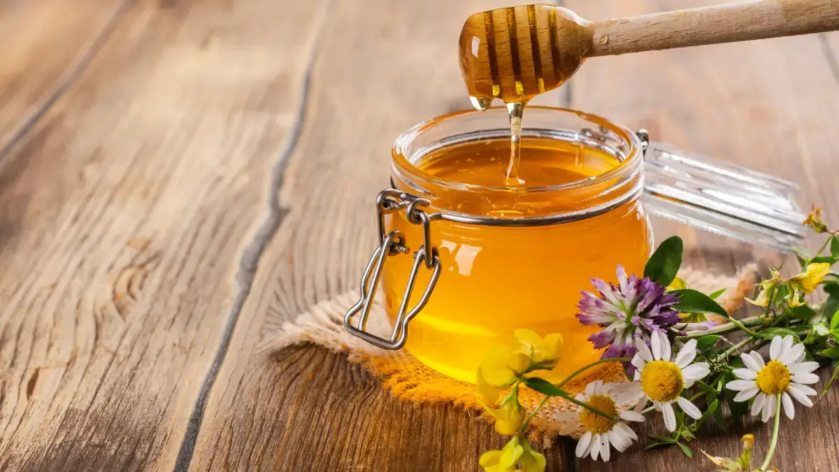 Honig - das flüssige Gold der Natur