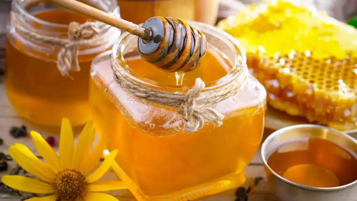 Frühlingsblüten<br>honig aus den Lippeauen